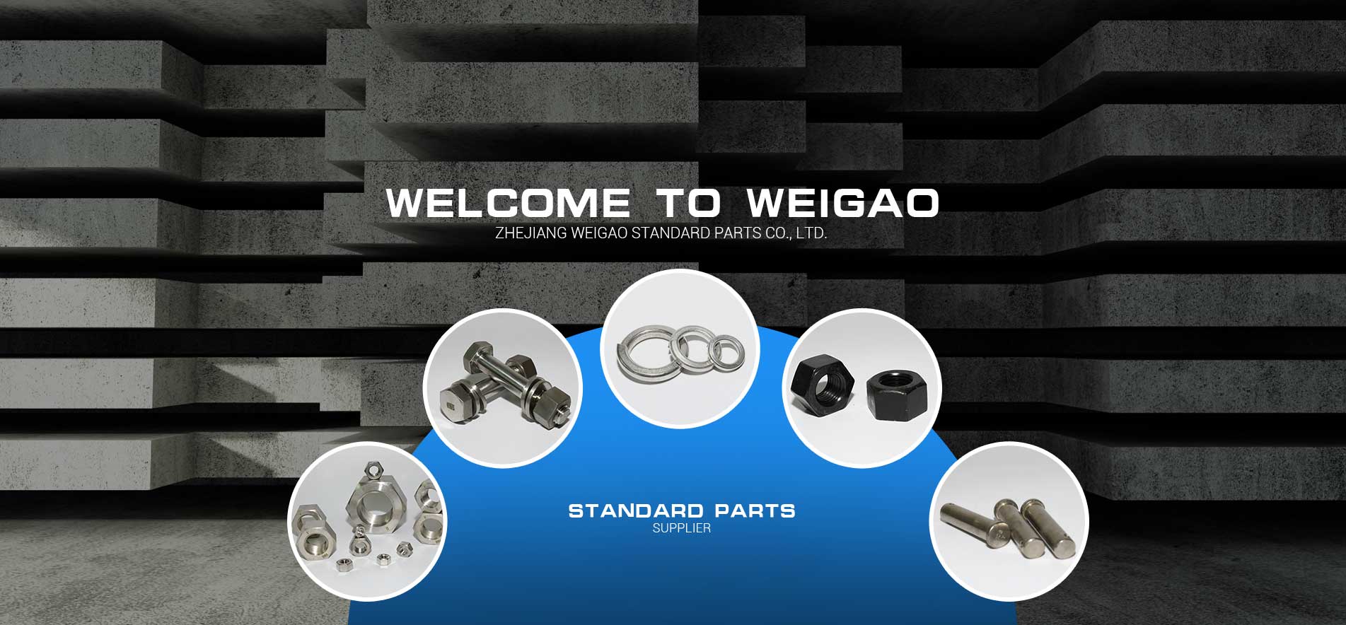 Zhejiang Weigao Standard Parts Co.,Ltd.